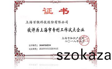 上海市專利工作試點企業