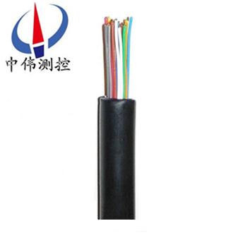 聚(ju)乙烯絕(jue)緣(yuan)導引(yin)電(dian)纜