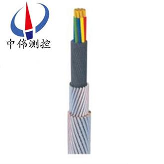 承(cheng)荷(he)探測電纜