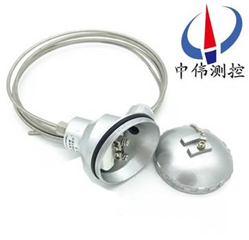 鎧裝熱電阻(zu)