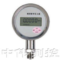 精密(mi)數(shu)字壓力(li)錶(biao)
