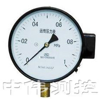 電(dian)位器遠(yuan)傳壓(ya)力(li)錶(biao)