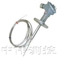多(duo)點(dian)防爆(bao)熱電偶(ou)