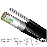 屏(ping)蔽信號電(dian)纜